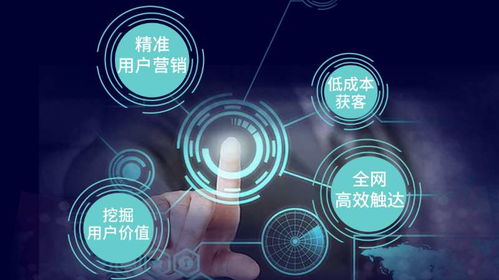 網(wǎng)站優(yōu)化排名 合肥網(wǎng)絡(luò)推廣哪家可靠