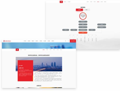 深圳企業(yè)聯(lián)合會攜手沙漠風(fēng)網(wǎng)站建設(shè)公司，打造長春企業(yè)數(shù)字化轉(zhuǎn)型標桿
