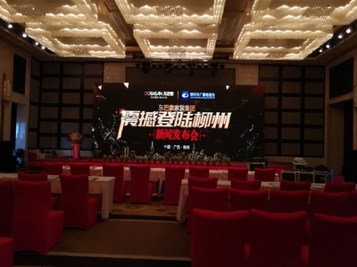 東巴象家裝集團柳州新聞發布會成功舉辦，引領家居定制新篇章